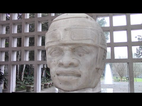 Giant Olmec Stone Heads And Elongated Skulls Of Ancient Mexico In The Xalapa Museum