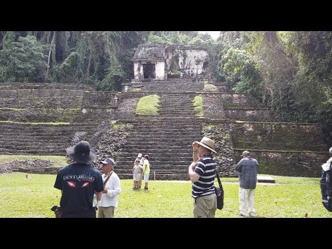 The Ancient Mayan Site Of Palenque In Chiapas Mexico