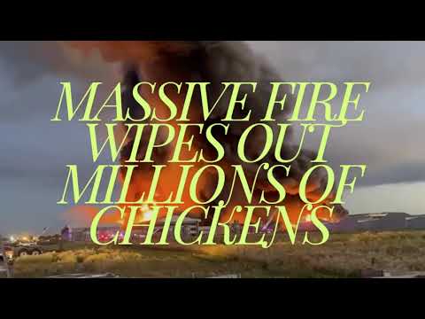 Massive Fire at Illinois Farm Wipes Out Millions of Chickens! Expect Prices to Rise!