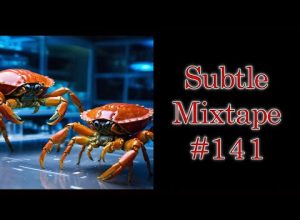 Subtle Mixtape 141 | Space Crabs and Lemuria