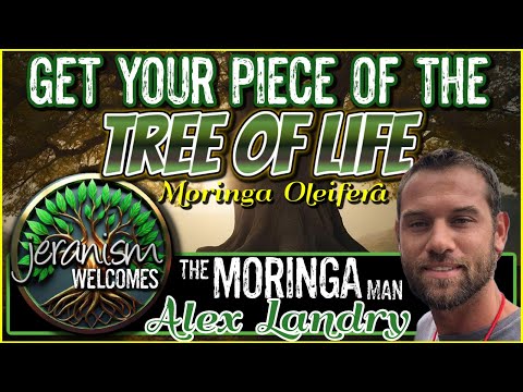 Jeran Welcomes The Moringa Man Alex Landry to Talk About The Tree of Life (Moringa Oleifera) 8-27-24