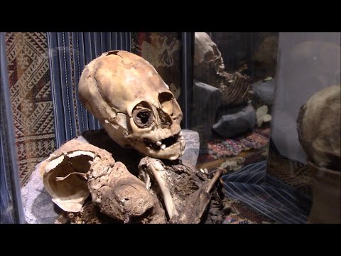 Small Ancient Mummy In Peru