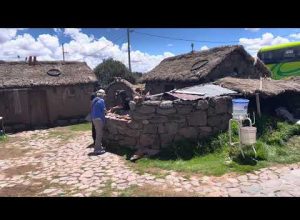 Family Farm Near Puno In Peru