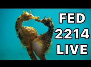 Flat Earth Debate 2214 LIVE – Politics 24/7