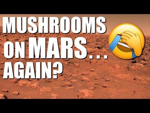 Mushrooms On Mars… AGAIN? (clip)