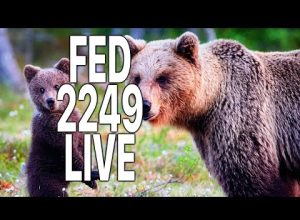 FED 2249 LIVE Politics Discord