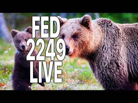 FED 2249 LIVE Politics Discord